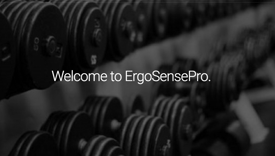ErgoSensePro Projects